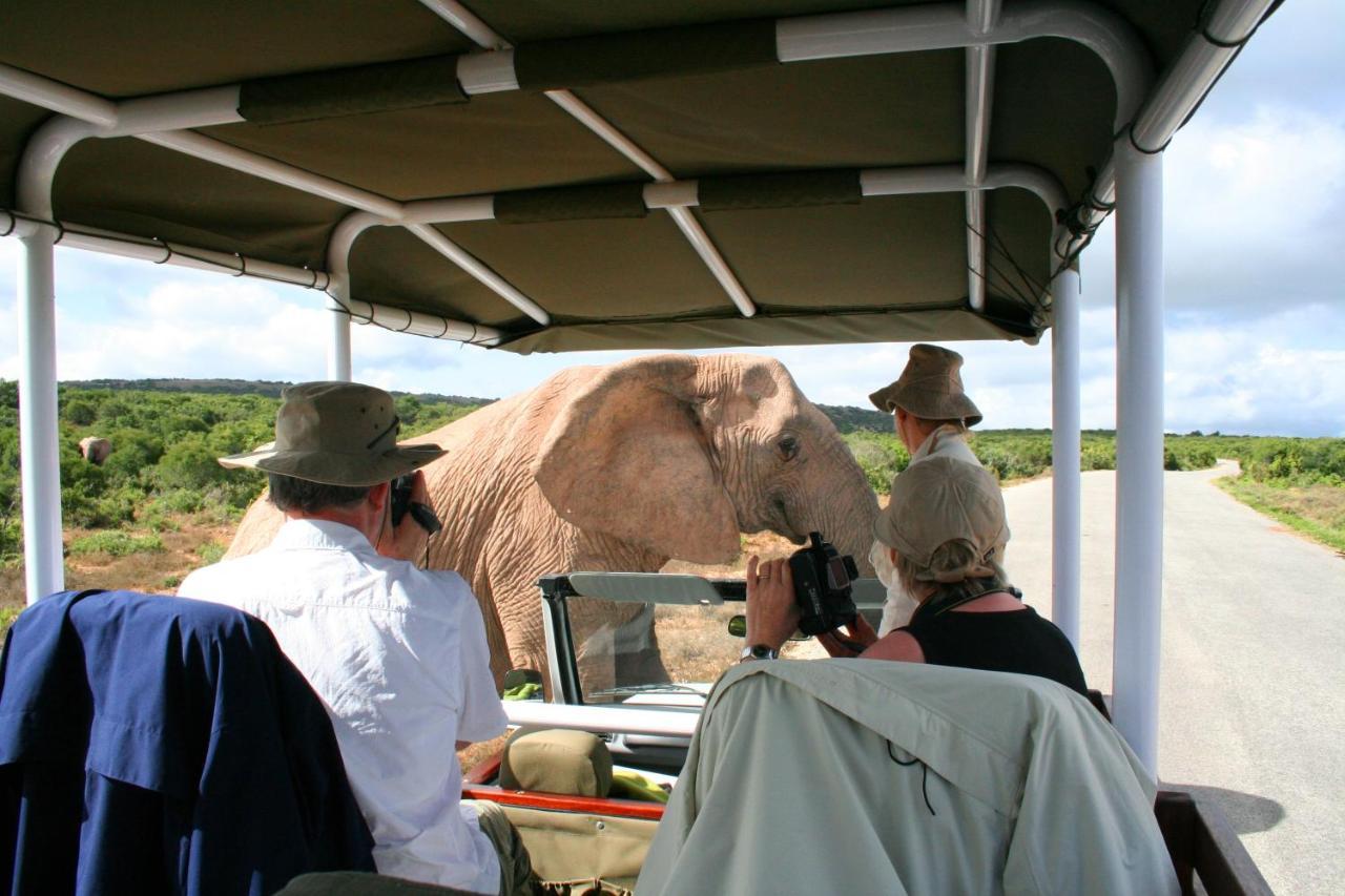 Hitgeheim Country Lodge Addo Exterior photo